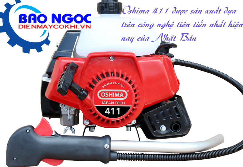 may-cat-co-oshima411