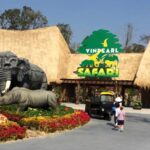Lý do nên thăm Vinpearl Safari Phú Quốc