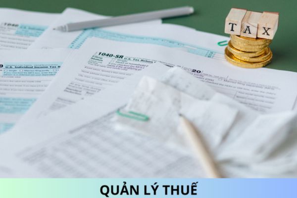 Tổng quan và tầm quan trọng trong kinh doanh của luật quản lý thuế