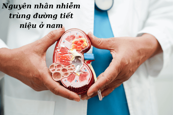 Nguyên nhân nhiễm trùng đường tiết niệu ở nam mà bạn phải biết