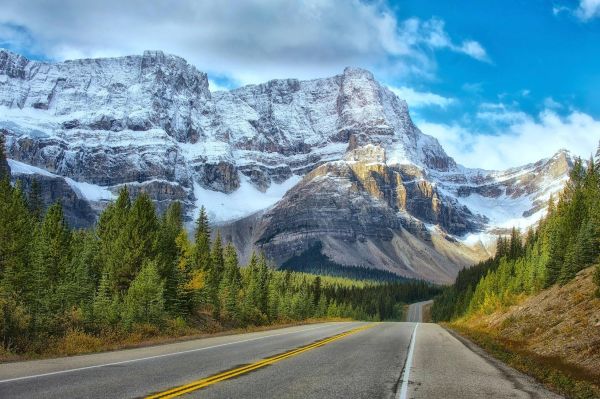 Cách đặt lịch hẹn visa Canada đơn giản nhất 