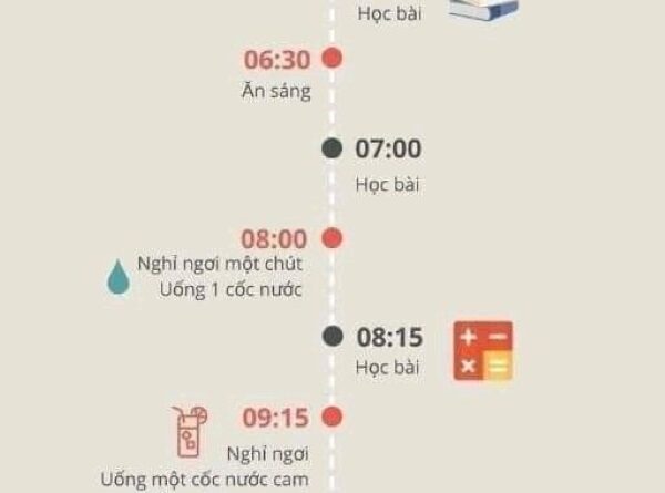 Kế hoạch học tập là nền tảng đầu tiên cần xây dựng, là một trong những kinh nghiệm thi đại học hiệu quả.