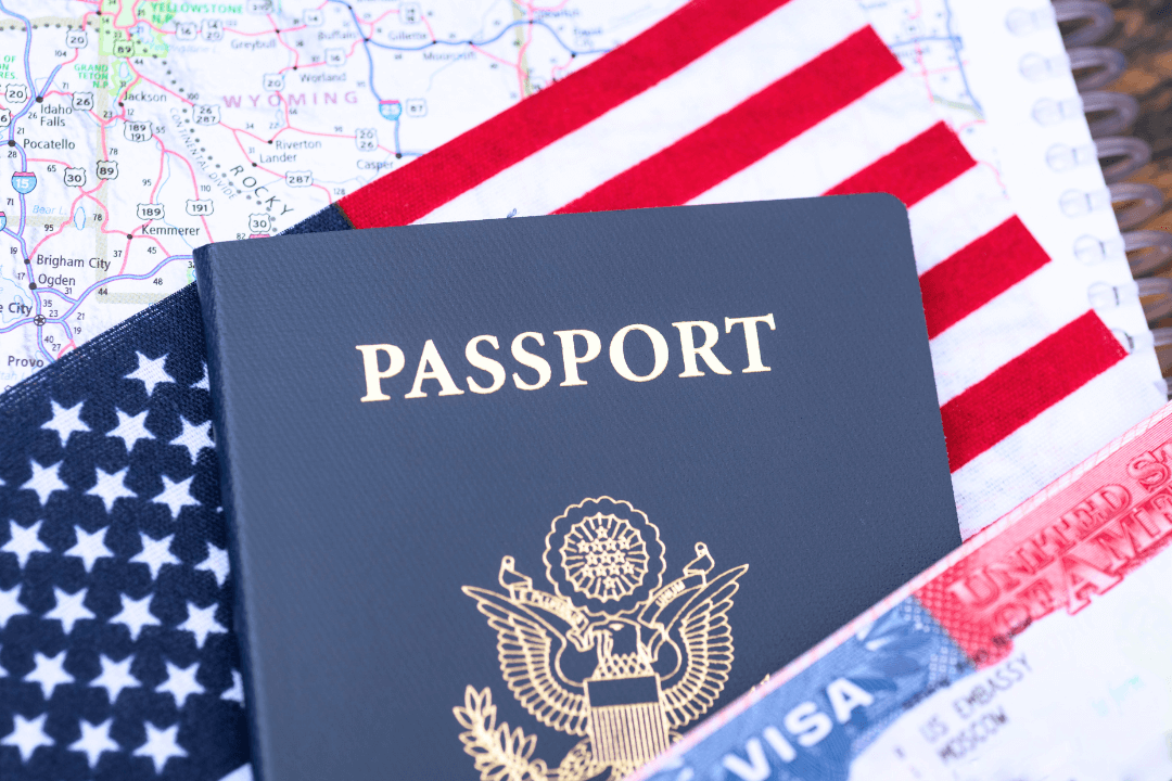 online visa for urgent family visits