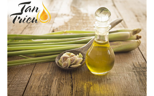 phân biệt tinh dầu sả thật giả