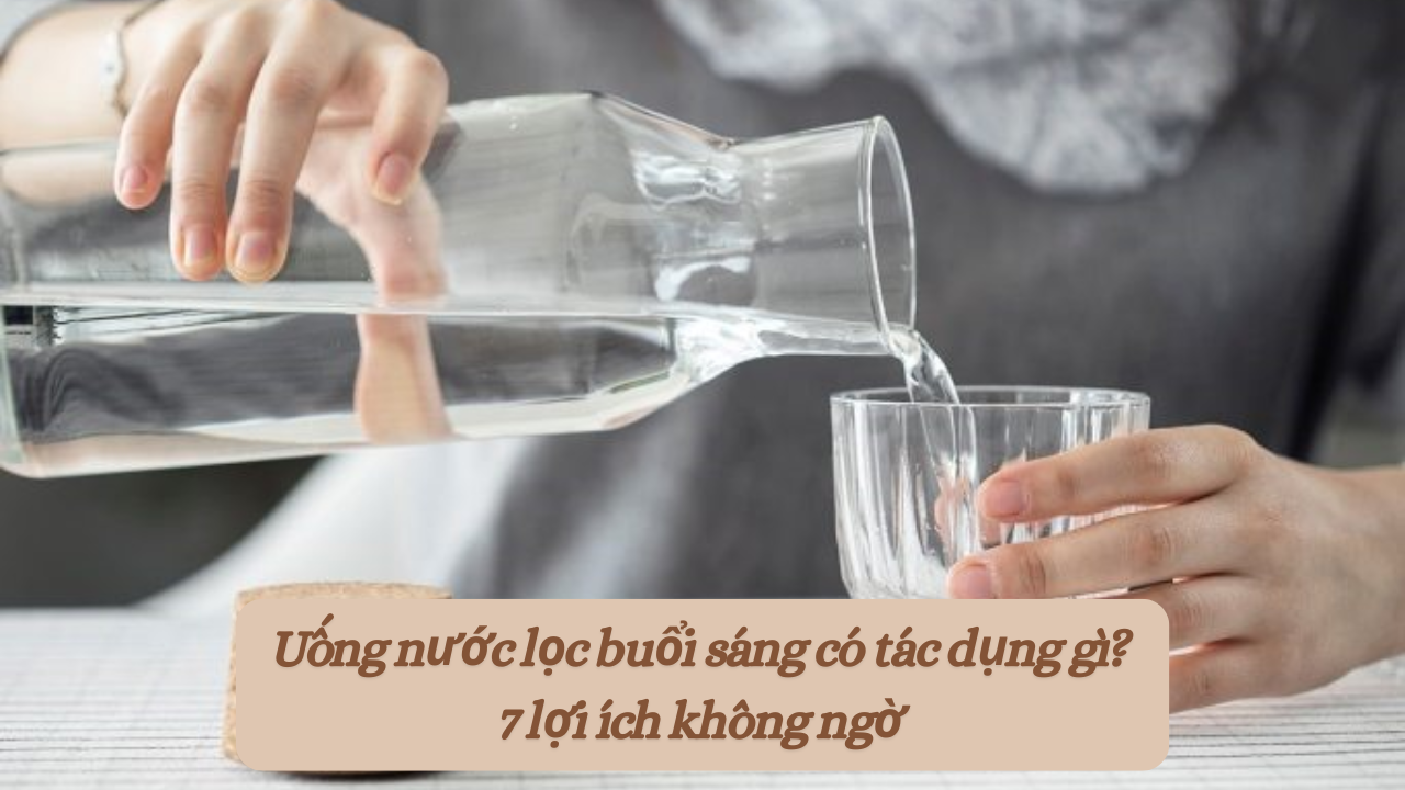 Uống nước lọc buổi sáng có tác dụng gì? 7 lợi ích không ngờ