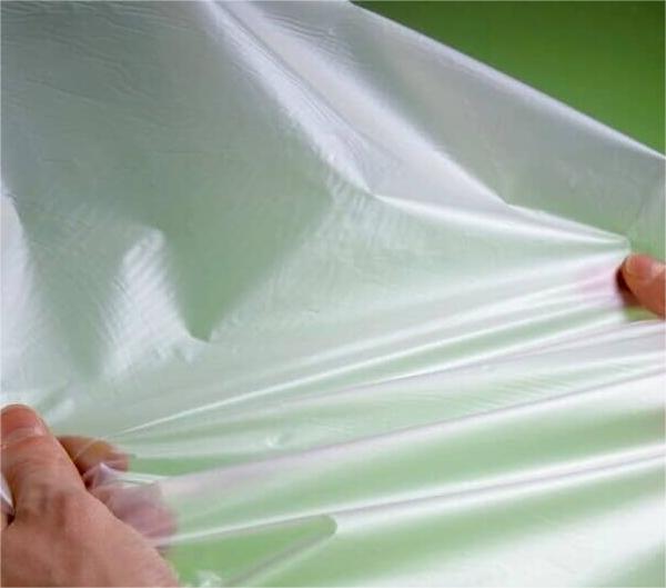 Kiểm tra chất lượng và đóng gói túi nilon