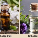 Cách nhận biết tinh dầu bưởi giả và thật nhanh chóng, hiệu quả