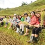 Du lịch ở nông thôn