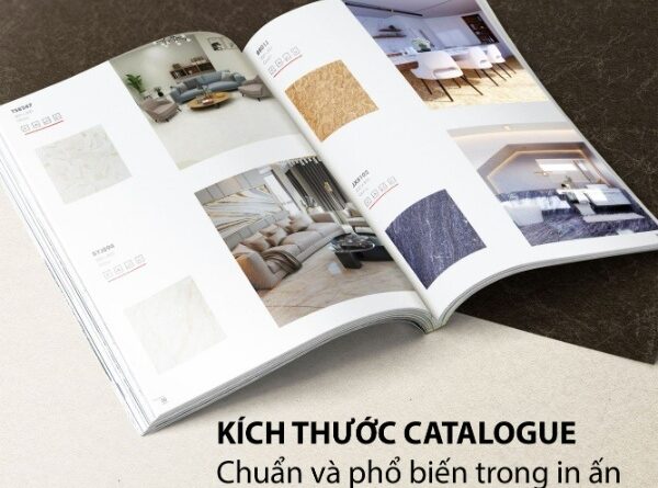 Kích thước catalogue