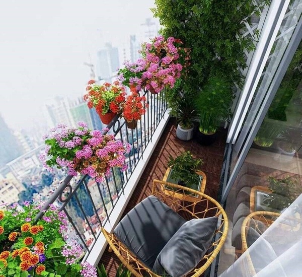 Trồng cây xanh mini