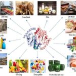 Tổng quan về enzyme công nghiệp