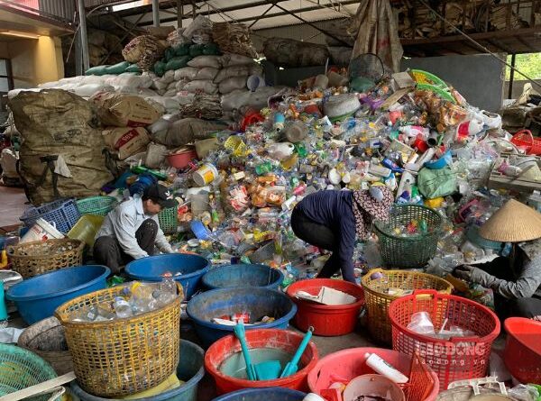 Kinh nghiệm xây dựng nguồn hàng và giữ mối quan hệ lâu dài